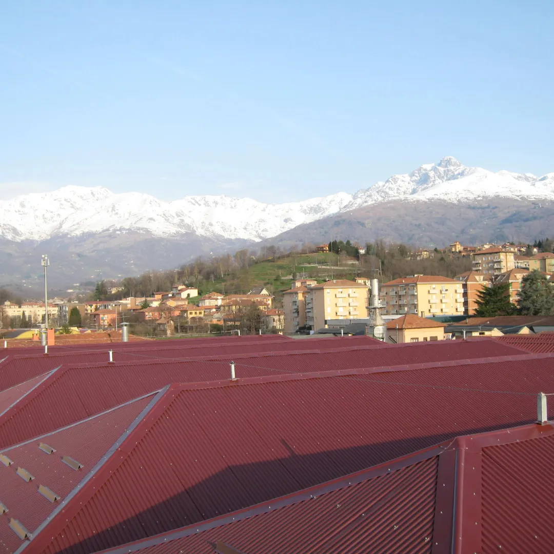 LINEE-VITA-BONANDINI-1